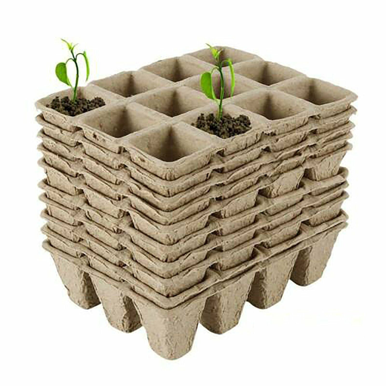 10pcs Biodegradable Seedling Trays 12-Hole Garden Starter